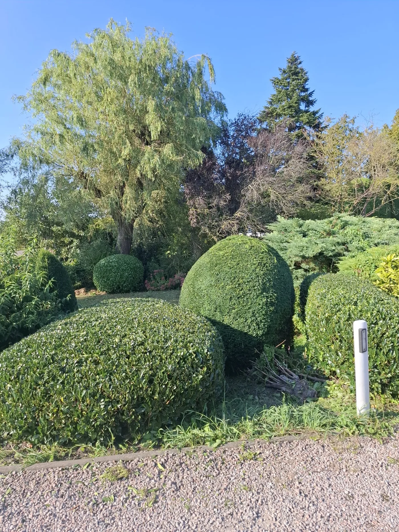 Groenvoorziening Schelluinen in Schelluinen, het eindresultaat door Slob Tuinen