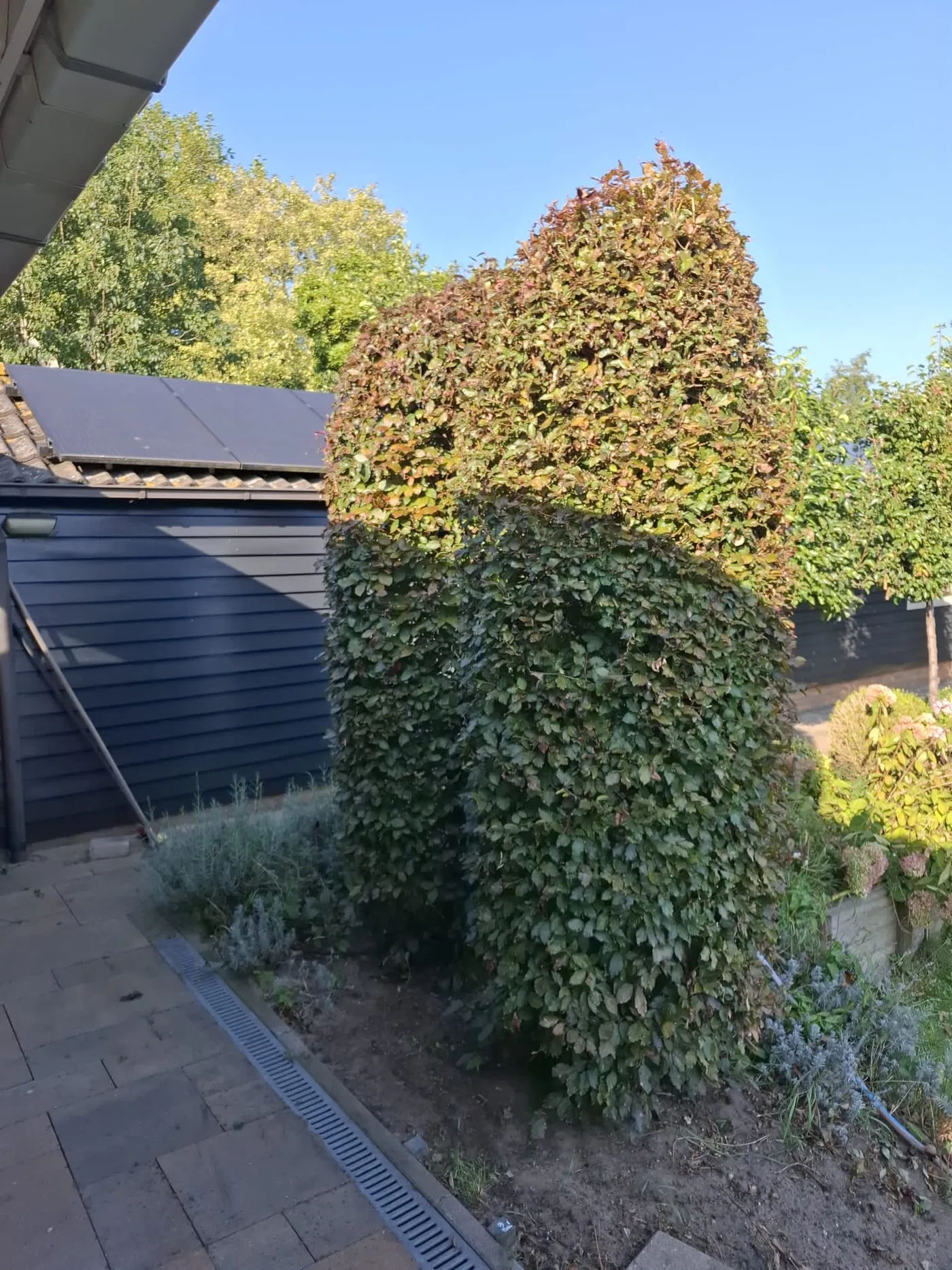 Groenvoorziening Schelluinen in Schelluinen, foto 4